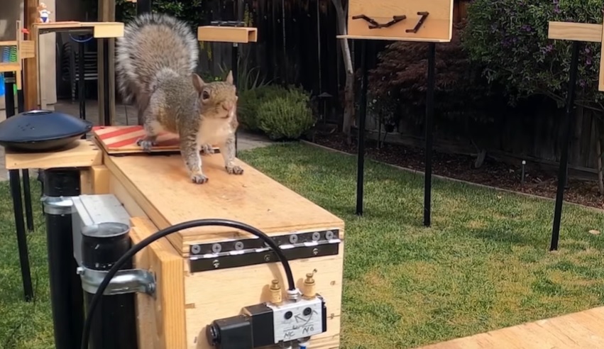 The “perfect” squirrel-proof bird feeder–wow [VIDEO] - Montana Hunting How To Keep Squirrels Out Of Camper