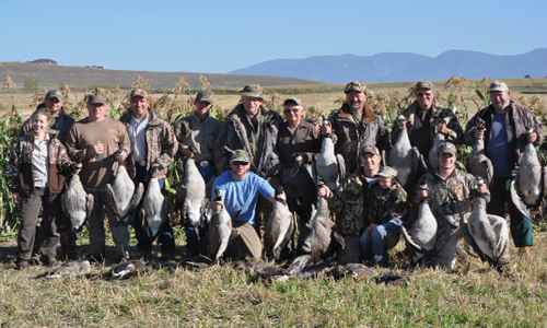 Goose Hunting in Montana