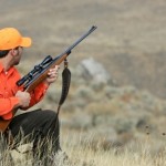 Montana Hunting Reports