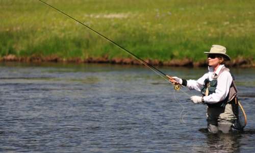 Where to fish in Montana