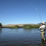 Whitefish Fishing at Flathead Lake in Montana