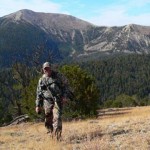 montana hunting