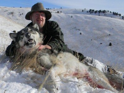 montana wolf hunt