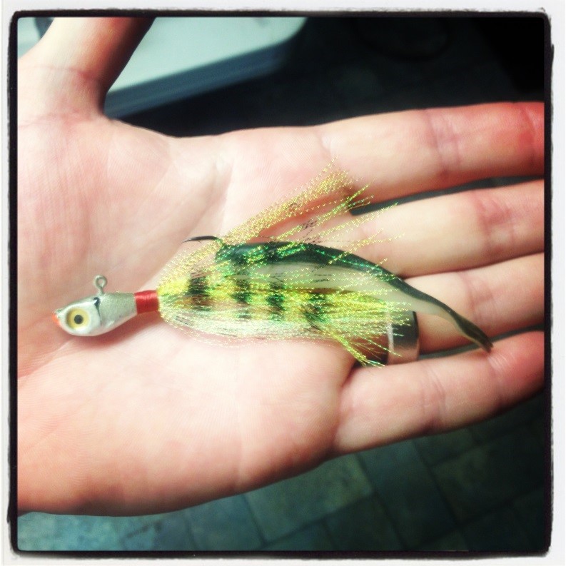 (A Yellow Perch Glass Minnow equipped with a 3” Berkley GULP minnow!! The Big Dry Arm special!!)