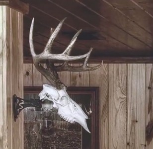 2pcs Antelope Holder  Metal USA Antler Style Deer Hook Mount Skull Hanger Hooker 