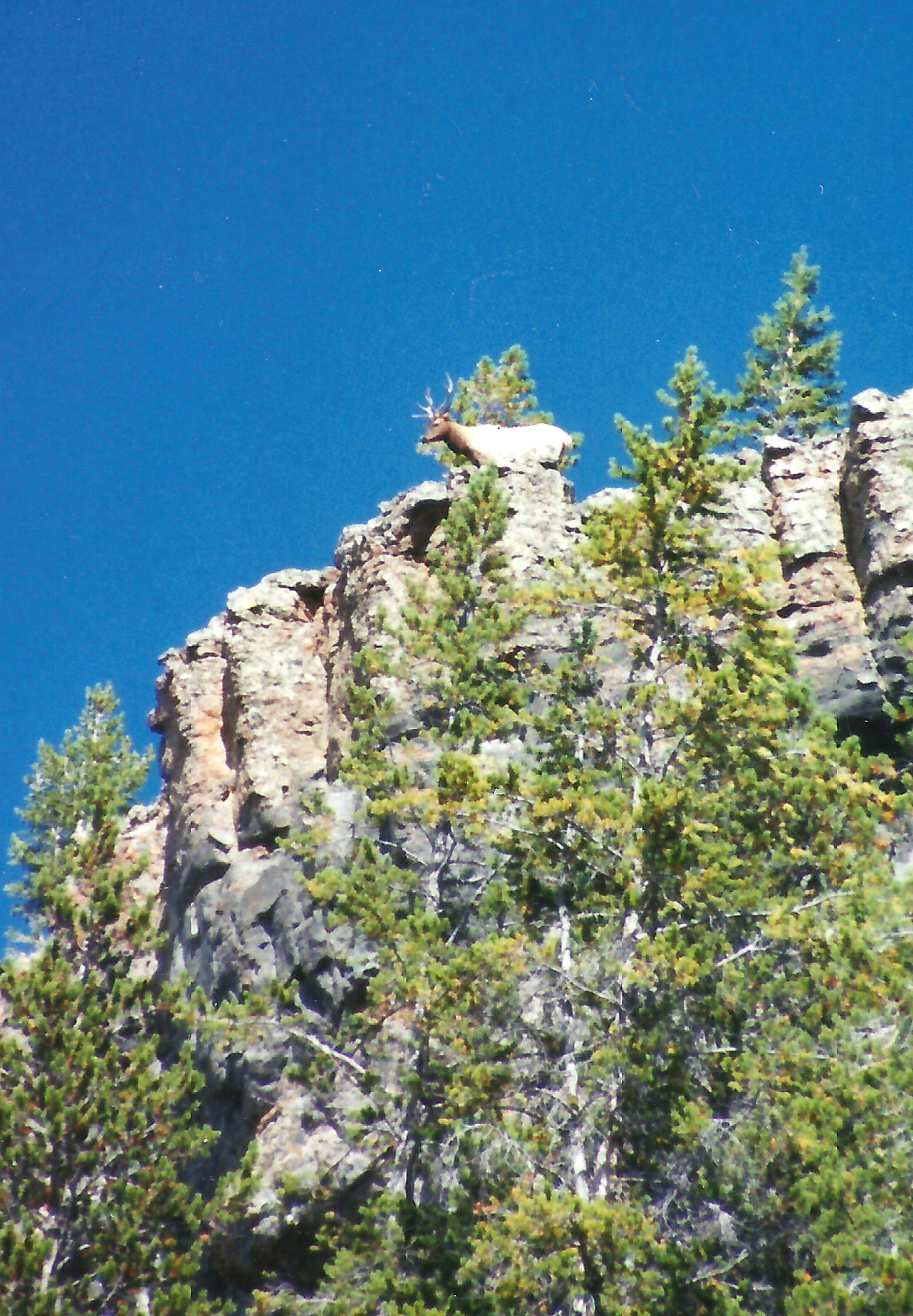 elk cliff