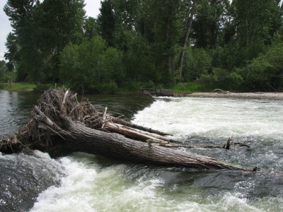 Bitterroot Closed To Floating From Woodside To Tucker Fas Due To Flow Conditions At Supply Ditch Diversion Montana Hunting And Fishing Information