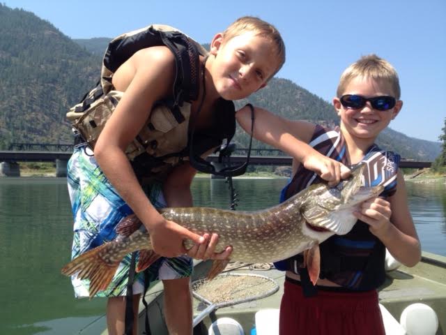 Pike on the Clark Fork: A Fishing Report from Shawn Plakke - Montana  Hunting and Fishing Information
