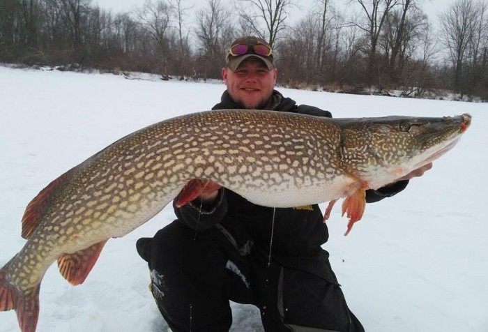 Monster 46-Inch Pike Pulled through the Ice - Montana Hunting and