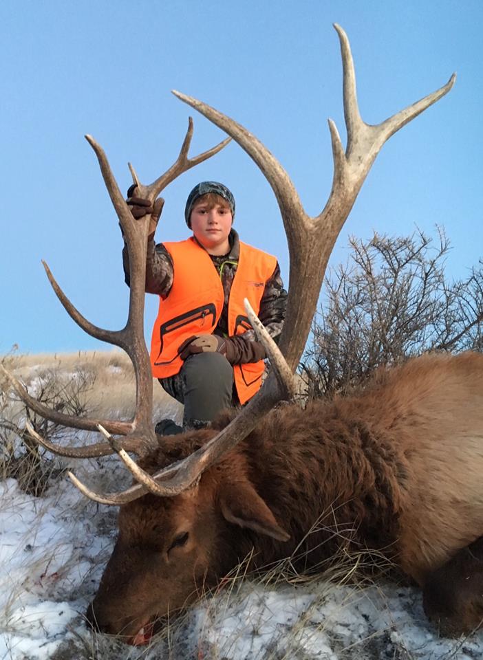 Didn’t bag a bull? Learn all about the new elk shoulder season