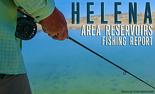 Helena area reservoirs fishing report image