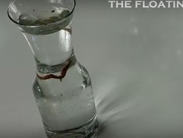 Floating Worms Catch More Fish” How To Make Worms Float [VID