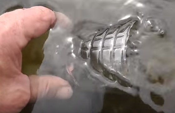 How to Make a Minnow Fish Trap [VIDEO] - Montana Hunting and