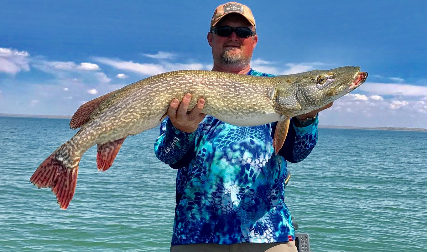 Walleyes Northern Pike, and Lake Trout still biting on Fort Peck