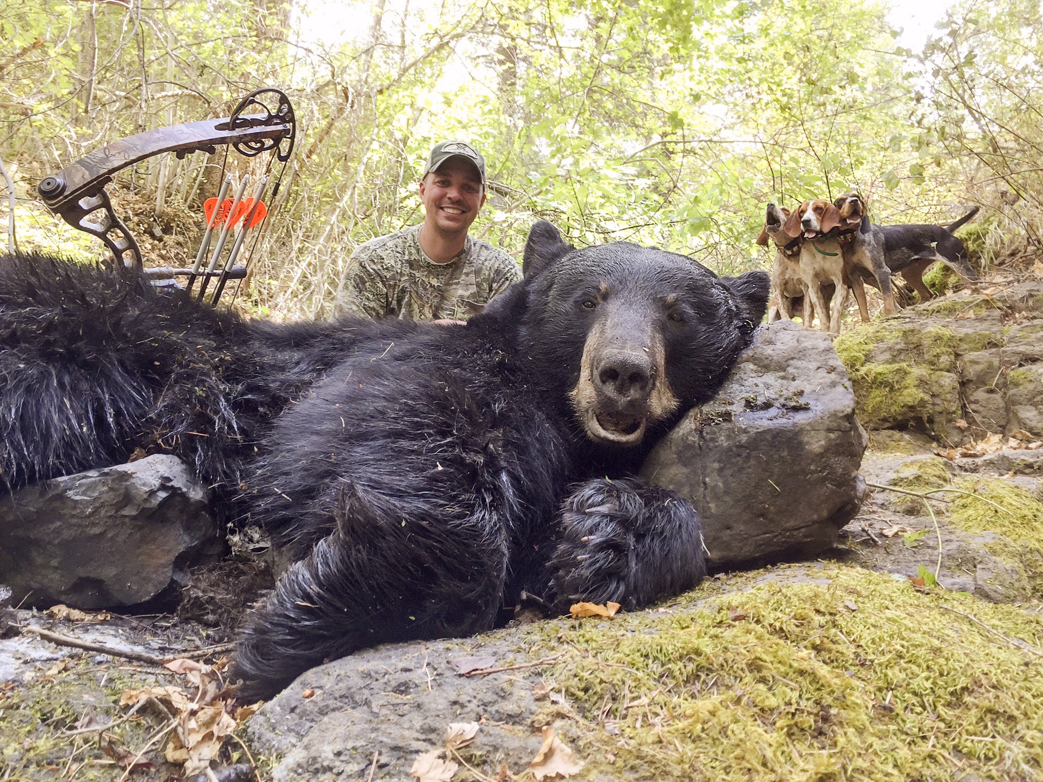 Eight Idaho Fall Bear Hunting Tips | Montana Hunting and ...