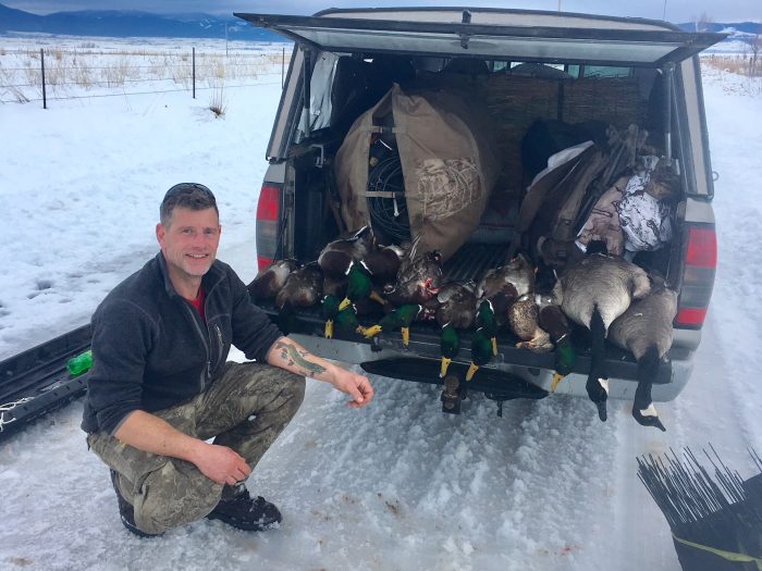 Waterfowl Success in Montana Montana Hunting and Fishing Information
