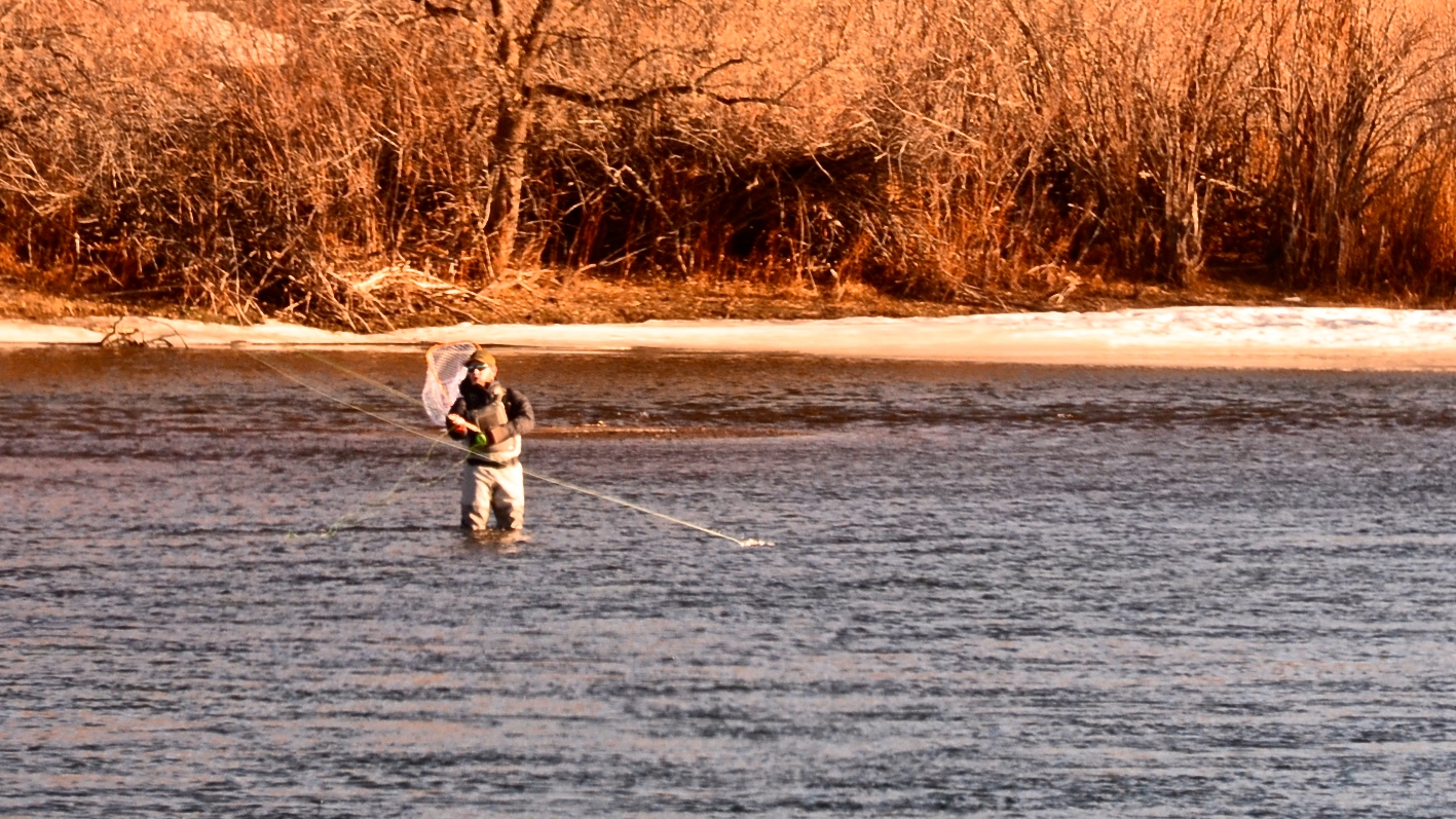 Missouri River Fishing Report by Headhunters Fly Shop 1.21.18 - Montana  Hunting and Fishing Information