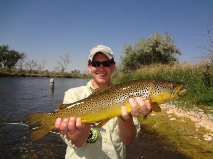 Bighorn River trout numbers lowest on record - Montana Hunting and Fishing  Information