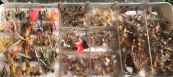 WHAT'S IN YOUR FLY BOX? - Montana Hunting and Fishing Information