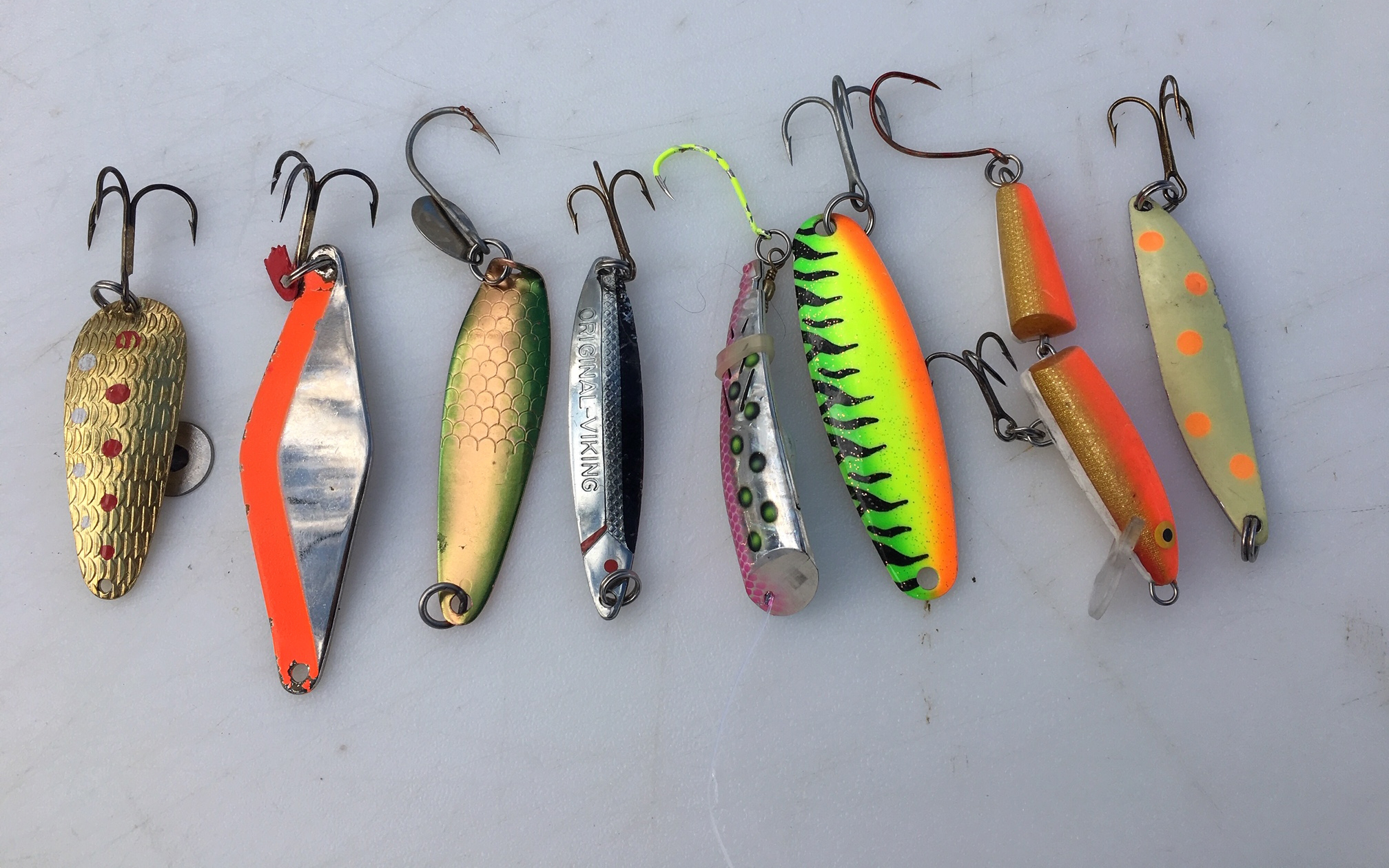 Successful Holter Trout Lures Montana Hunting and