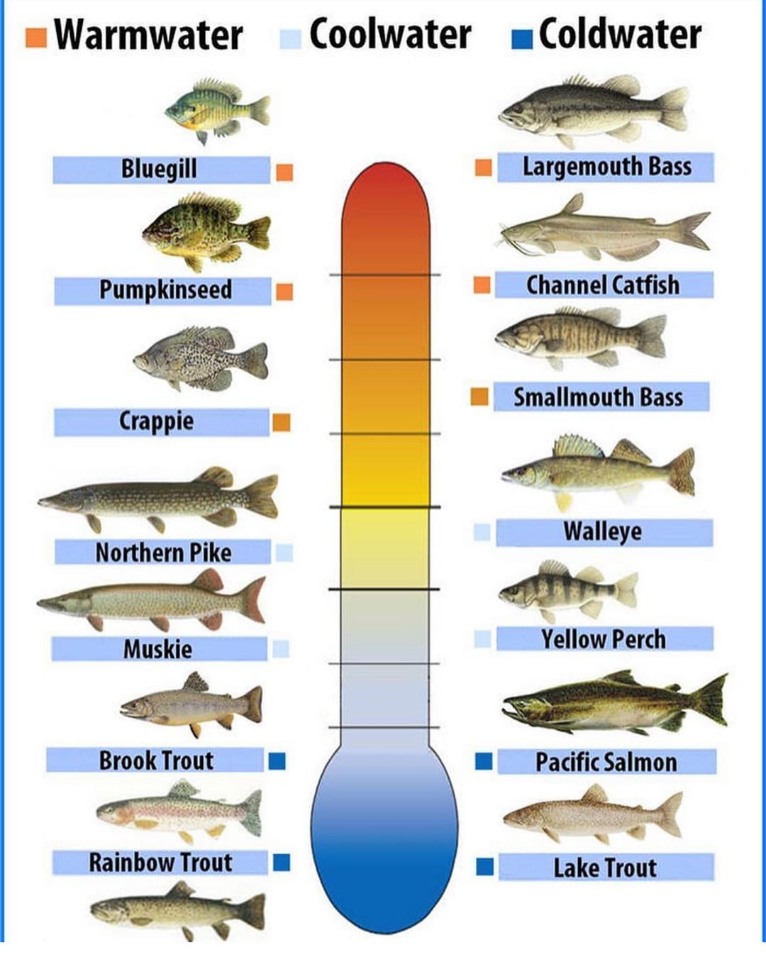 hot and cold bite chart - Montana Hunting and Fishing Information