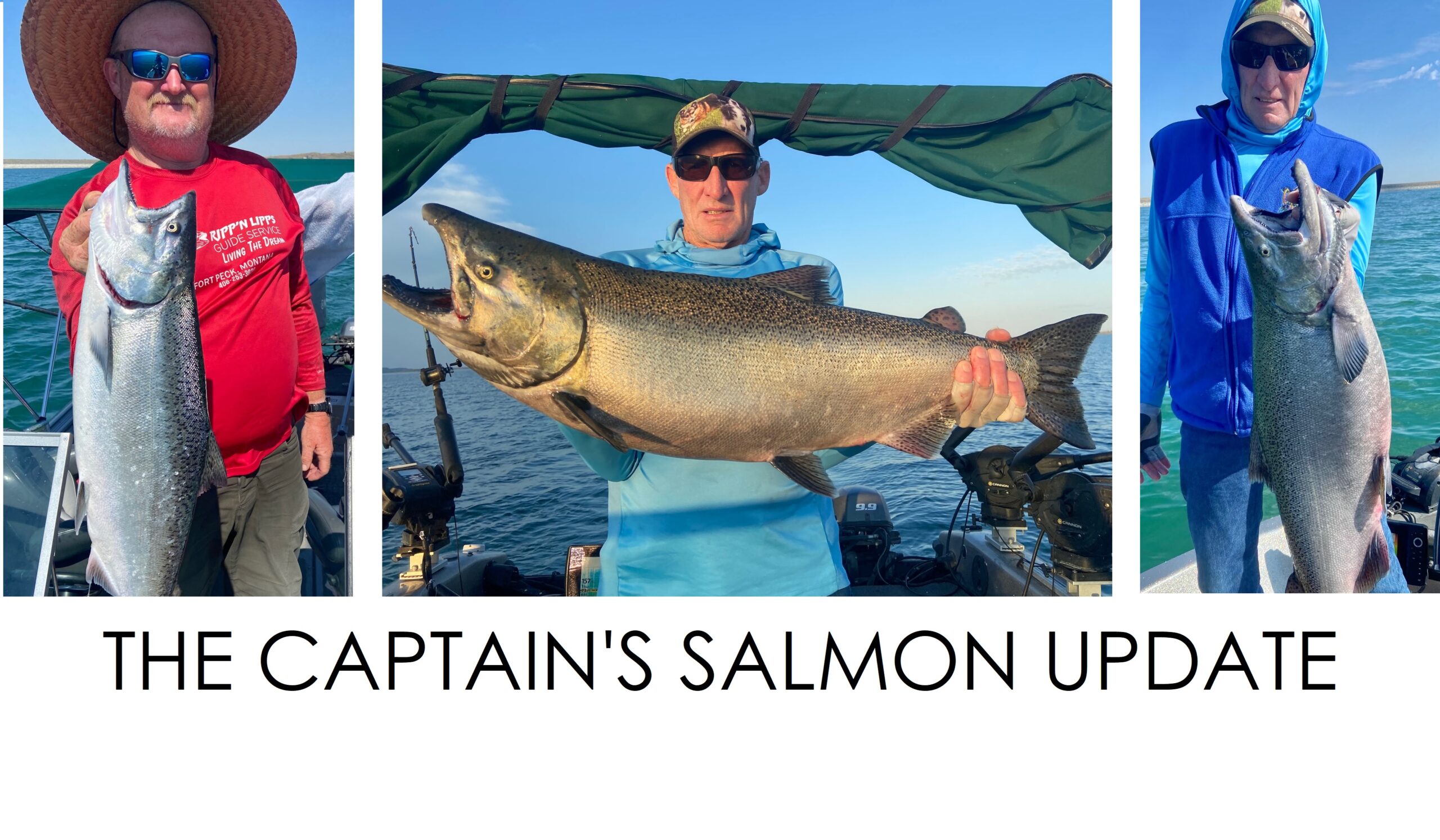 Captain’s Weekly Fort Peck Salmon Report - Montana Hunting and Fishing ...