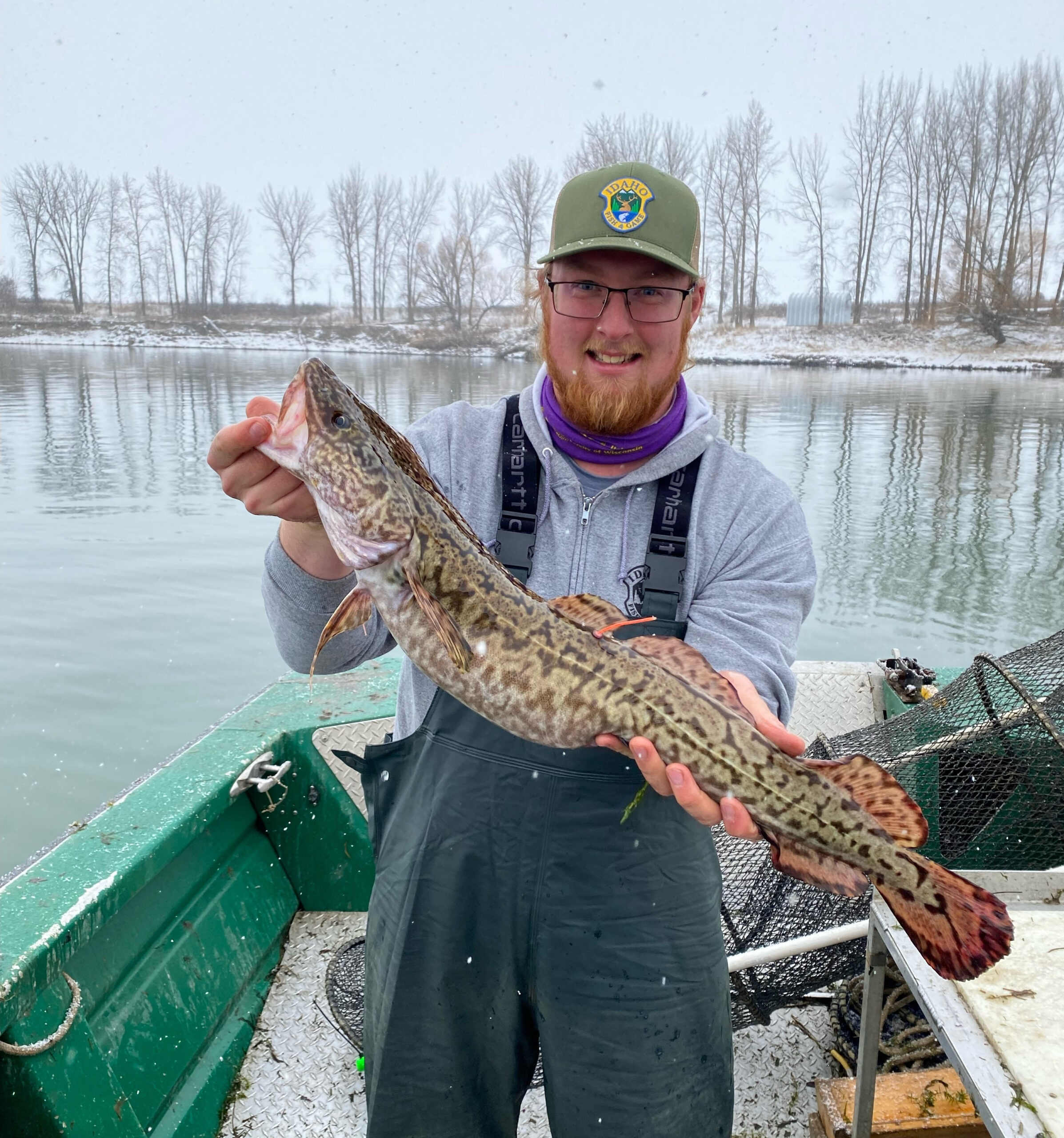 Mackenthun: For fight or food, burbot are no longer freaky fish, Local  Sports
