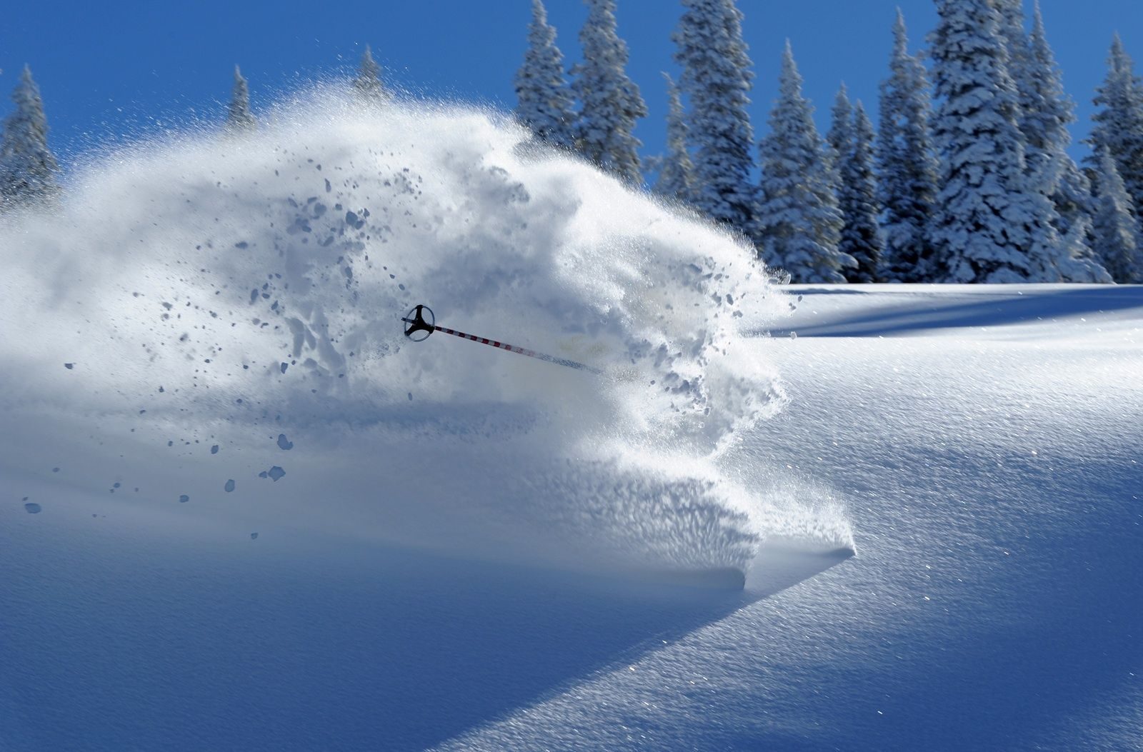 SO, YOU DON”T SKI!!!