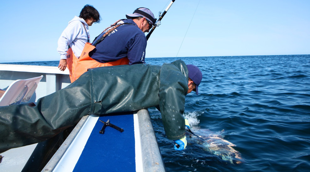 WICKED TUNA CATCHES ANGLER!!!