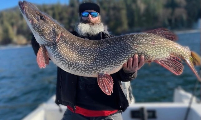 Idaho man lands record pike - Montana Hunting and Fishing Information
