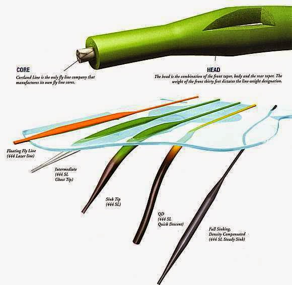 fly line types - Montana Hunting and Fishing Information