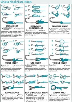 KNOT KNOWLEDGE !!! - Montana Hunting and Fishing Information