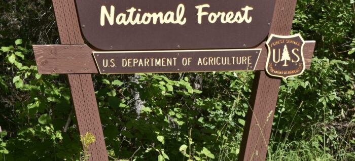 Flathead National Forest