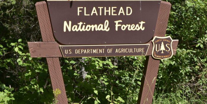 Flathead National Forest