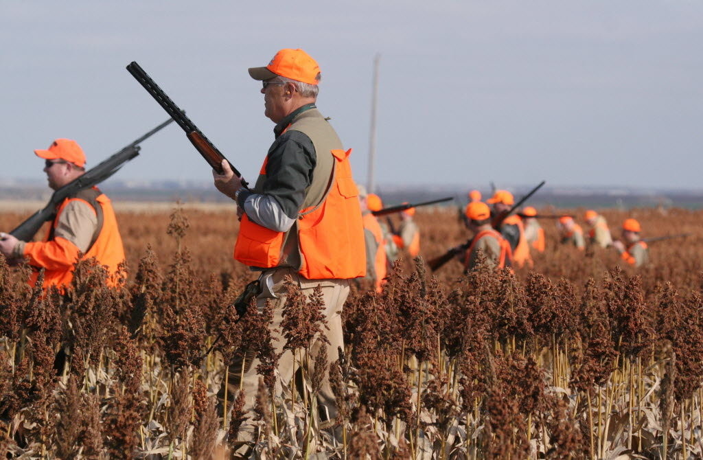 BEST PHEASANT LOADS!!! by Montana Grant
