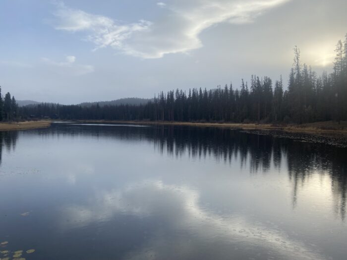 Campsites at Big Larch, Lake Alva and Seeley Lake campgrounds available for Online Reservations