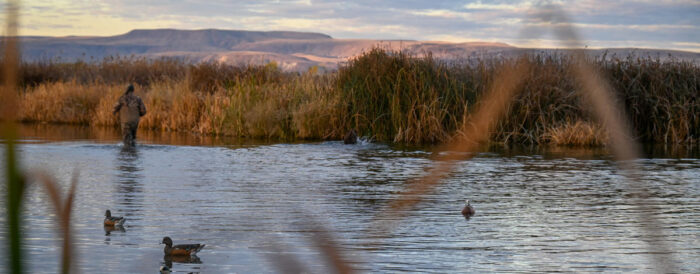 Reminder for waterfowl hunters in the Panhandle: season end dates