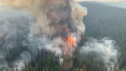Moose Fire PHoto: Inciweb