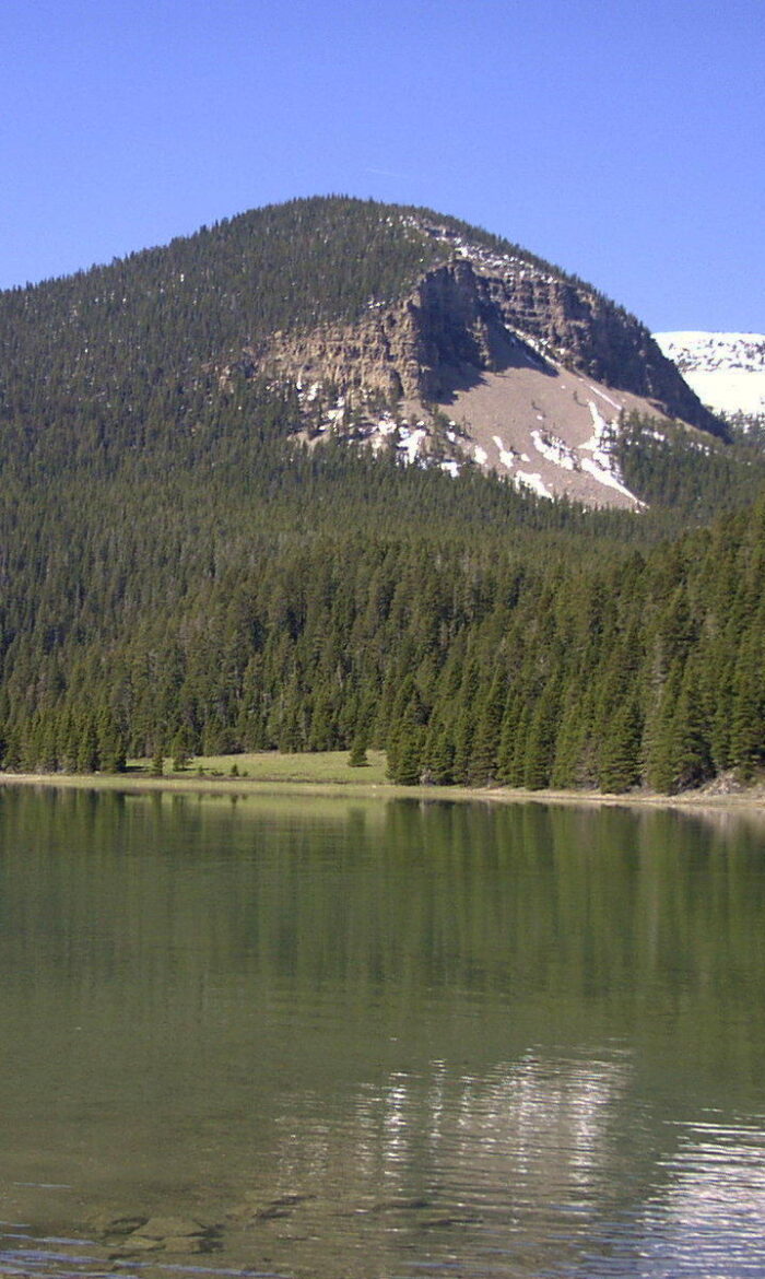 9+ Smith River Flows