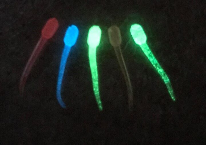 UV is WHAT FISH SEE!!! by Montana Grant