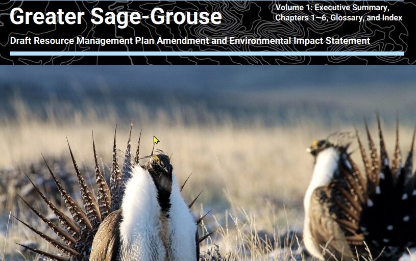 Brett French reports: BLM’s draft sage grouse plan out for comment