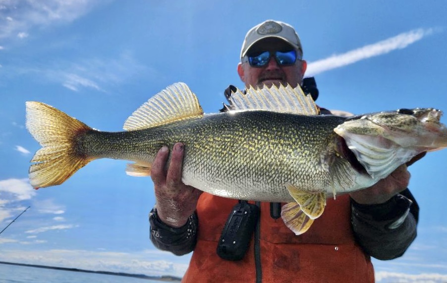 17.76 Pound Walleye Caught on Fort Peck Sunday
