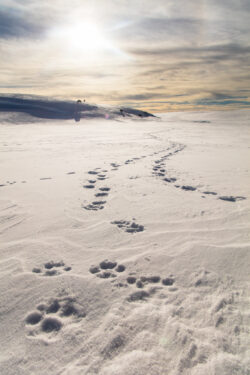 NPS / Jacob W. Frank