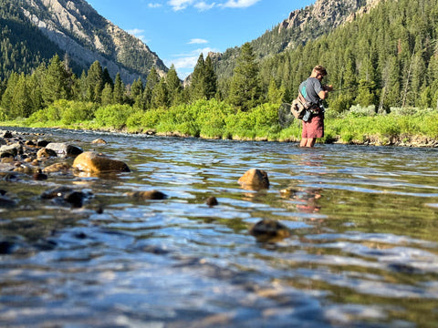 Fishing Report by Madison River Outfitters 6.24.24