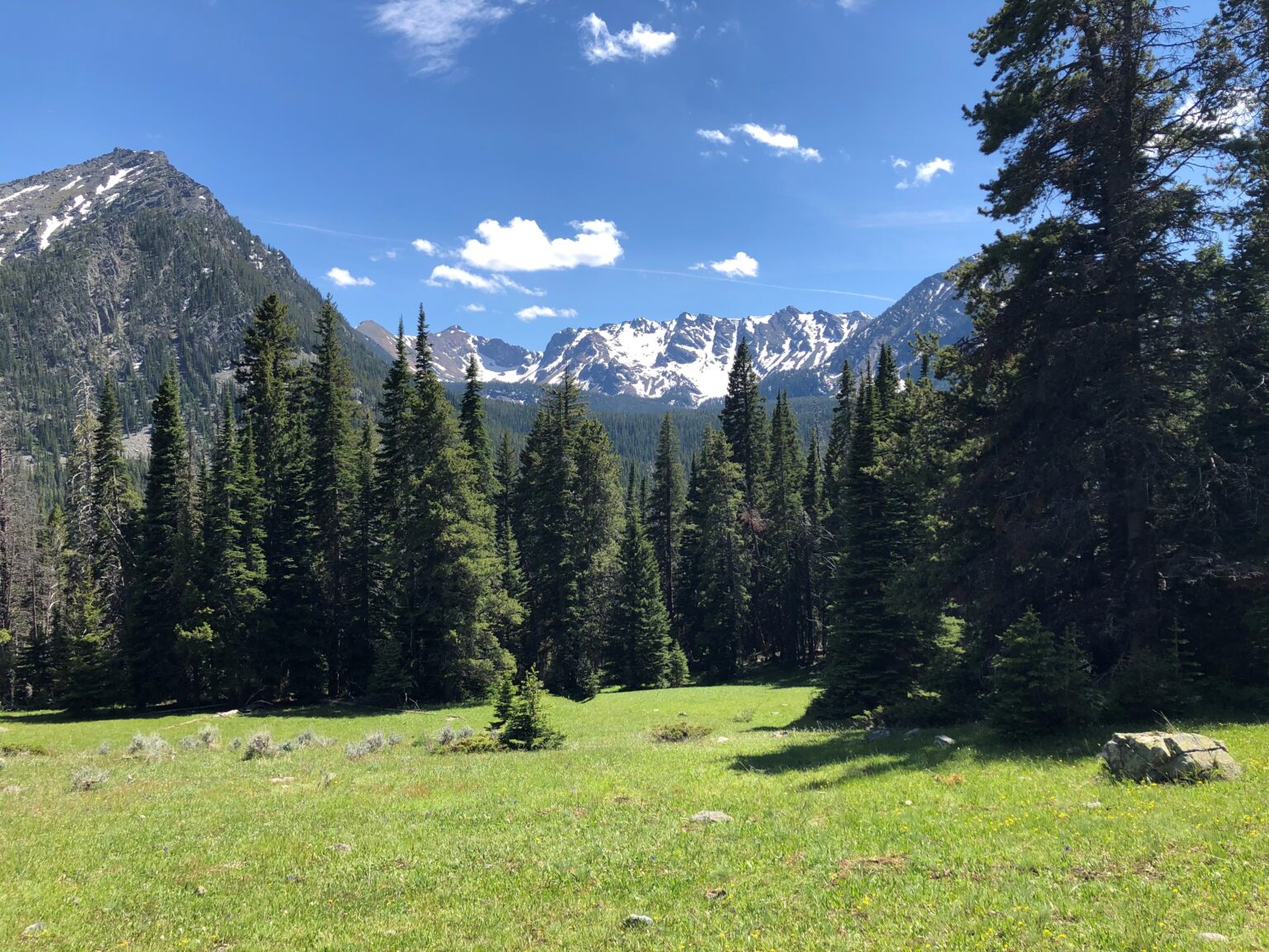 BeaverheadDeerlodge National Forest completes land acquisition in