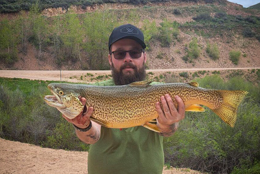 Idaho State Record Tiger Trout