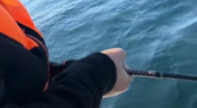Flathead Lake Whitefish Bite