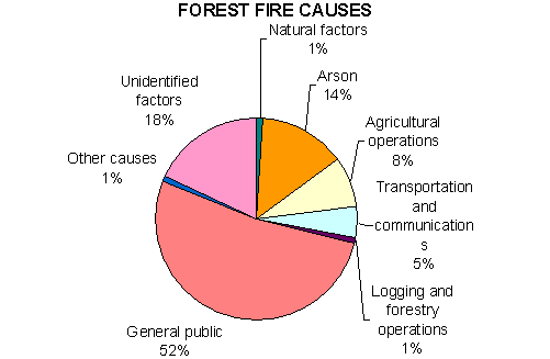 SMOKEY BEARS UP!!! by Montana Grant