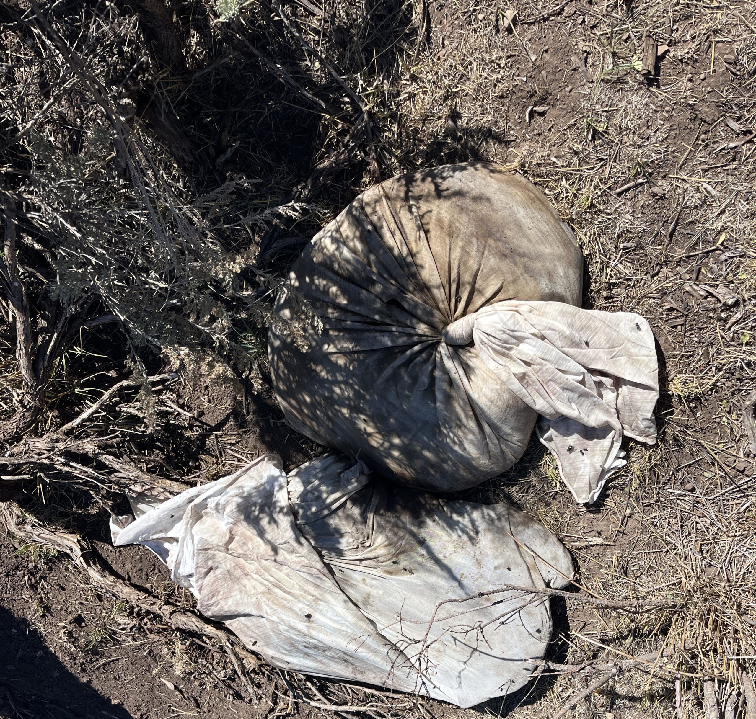 2 cases of wasted game meat dumped in Idaho