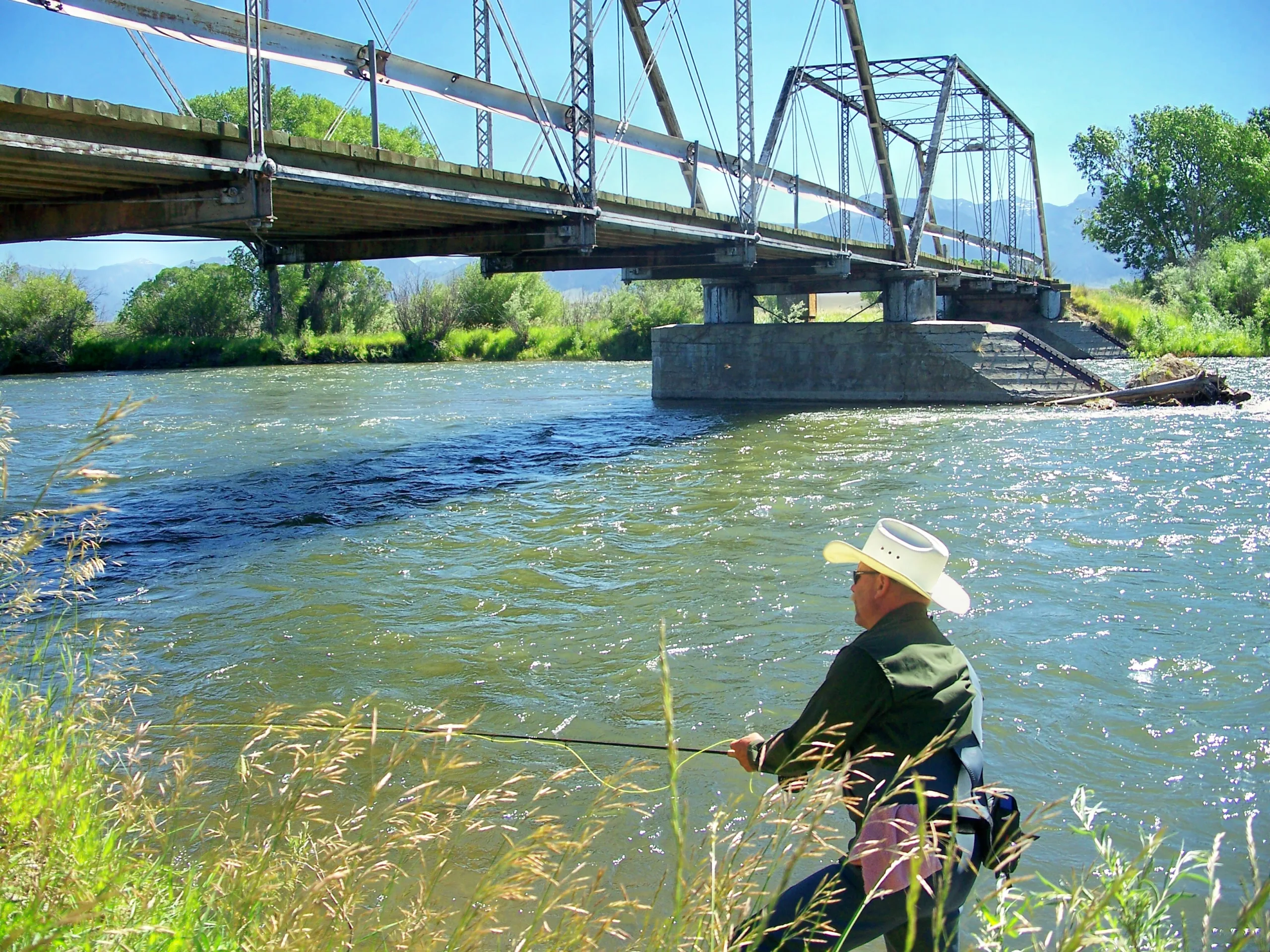 Bridges Over Trout Water